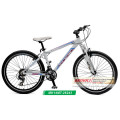 Alloy Mountain Bike (MK14MT-26243)